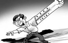 Bản án cho sự nông nổi