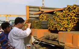 Giá thép sẽ sốt đến hết tháng 5?