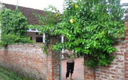 Nước mắt của người vợ “yêu râu xanh” đội lốt thầy giáo