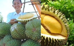 “Ăn sầu riêng không bị ung thư”
