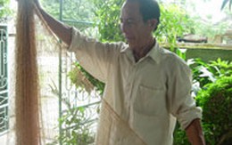 Cá sú vàng chỉ dành cho người nghèo