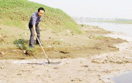 "Bức tử" sông Hồng
