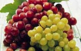 Các thực phẩm kỵ nhau