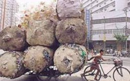 Rác thải tái chế lên cơn sốt