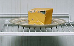 Khi nào nên vứt thức ăn trong tủ lạnh