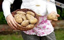 Những sai lầm "khổng lồ" trong ăn uống (Tiếp)