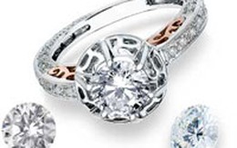 Mất kim cương trị giá 130.000 đô la khi sửa lốp xe
