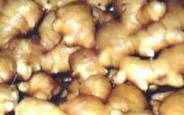 5 nguyên nhân dẫn đến tiêu chảy và bài thuốc nam điều trị