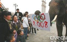 Trung Quốc: Voi vẽ tranh về Olympic 2008