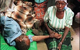 Sốt rét làm tăng nguy cơ lây nhiễm HIV
