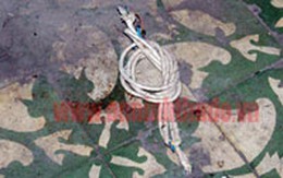 Vụ giải quyết mâu thuẫn bằng phân lợn: Nhận định một đường, tuyên án một nẻo