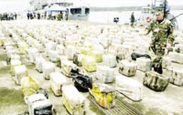 "Vương quốc Phù Dung" và cuộc chiến tuyệt vọng ở Colombia