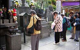 Nhật Bản báo động về các vụ tự tử ở người cao tuổi