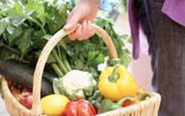 Chế độ dinh dưỡng hợp lý ở người cao tuổi