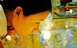 Giá vàng sẽ còn tiếp tục giảm ?