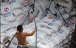 Giá gạo thế giới tăng cao chóng mặt