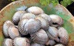 Nguyên tắc ăn uống khi bị bệnh bướu cổ
