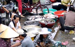 Giá tăng chỉ là &quot;cơn sốt&quot; nhất thời?