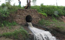 Công ty Miwon ở Phú Thọ gây ô nhiễm môi trường: Phản ánh của người dân là đúng