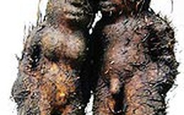 Bộ rễ hà thủ ô mang hình "Adam và Eva"
