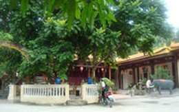 “Sư giả, chùa... cũng giả!”: Đình chỉ công tác Phó Chủ tịch UBND phường Trường Sơn