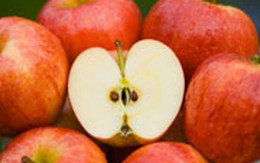 Ăn táo cả vỏ: Chống ung thư?