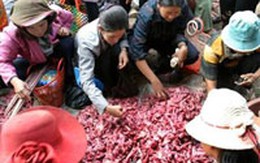 Giá thịt chuột cũng "leo thang"