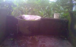 Đánh bố mẹ chồng, đầu độc cả nhà