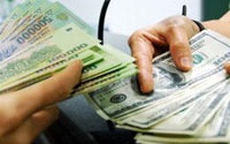 Giám đốc lừa tiền tỷ