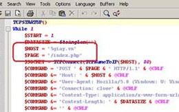 Thủ phạm tấn công DDoS một số website VN bị bắt