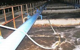 Sẽ xử lý hình sự vụ xả thải của Hào Dương