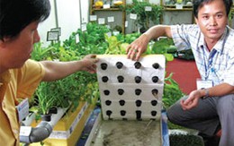 Làm gì để tránh độc tố?