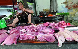 Ngộ độc do vi khuẩn