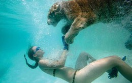 Ảnh: Người đẹp đùa giỡn với hổ trong bể bơi