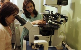 Du lịch chữa vô sinh bùng nổ ở Ấn Độ