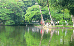 Ao cá Bác Hồ: Những điều chưa biết