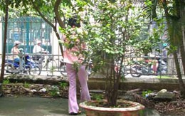 Khi chồng thuê người tạt axit vợ
