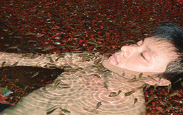 Tò mò cá... massage