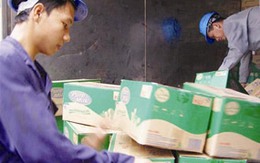 Biến sữa “độc” thành... phân bón