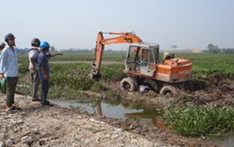 Chủ nhiệm HTX phá ruộng của dân