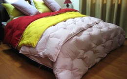 Chăn gối lông vũ giữ ấm ngày đông