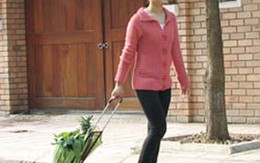 Xe đi chợ đa năng dành cho các bà nội trợ