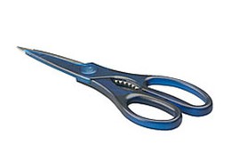 Bắt cóc chị dâu và cháu vì không tìm được vợ