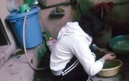 Hành trình thoát khỏi “địa ngục” xứ người của cô bé ngây thơ