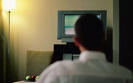Bị phạt nặng vì… chửi bới tivi