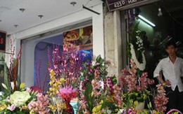 Chùm ảnh: Nhộn nhịp các dịch vụ, sản phẩm mùa Tết
