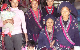 Mế Mụi và bài thuốc chữa vô sinh