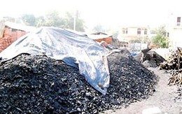 Quảng Ninh: Buôn lậu than, giám đốc lĩnh án 7 năm tù