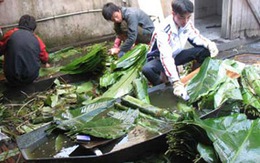 'Loạn' thị trường bánh chưng Tết