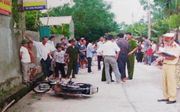 Hai con cá đổi... một mạng người